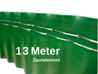 13_zaun