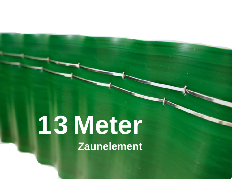 13_zaun