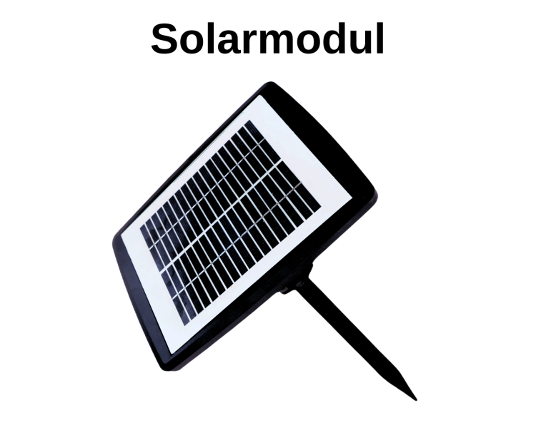 solarmodul_1731076254